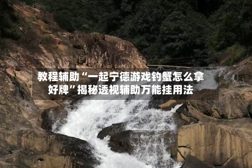 教程辅助“一起宁德游戏钓蟹怎么拿好牌	”揭秘透视辅助万能挂用法-第2张图片