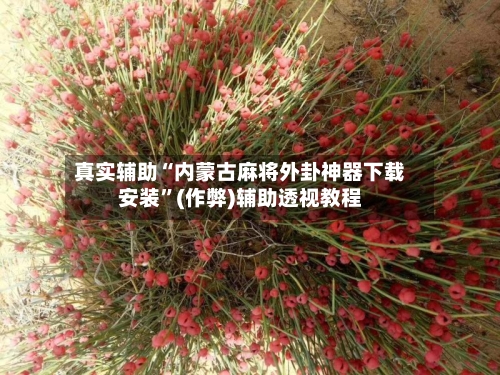 真实辅助“内蒙古麻将外卦神器下载安装”(作弊)辅助透视教程-第3张图片