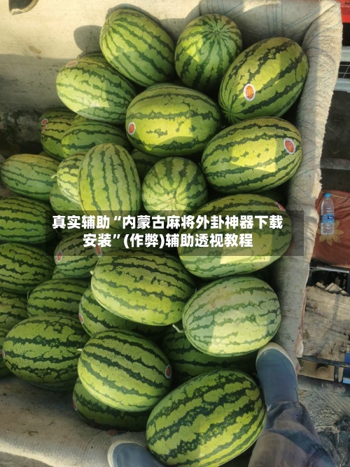 真实辅助“内蒙古麻将外卦神器下载安装	”(作弊)辅助透视教程-第1张图片