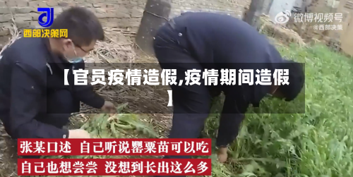 【官员疫情造假,疫情期间造假】-第1张图片