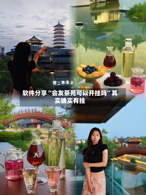 软件分享“会友茶苑可以开挂吗	”其实确实有挂-第2张图片