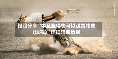 经验分享“中至跑得快可以设置输赢(透视)	”详细辅助透视-第2张图片
