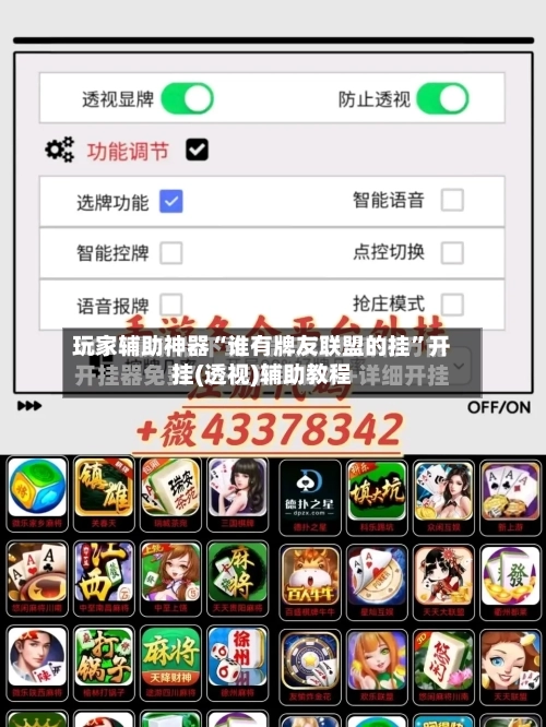 玩家辅助神器“谁有牌友联盟的挂”开挂(透视)辅助教程-第2张图片