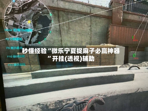 秒懂经验“微乐宁夏捉麻子必赢神器	”开挂(透视)辅助-第2张图片