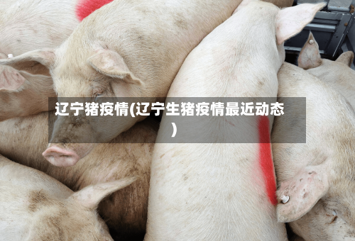 辽宁猪疫情(辽宁生猪疫情最近动态)-第3张图片