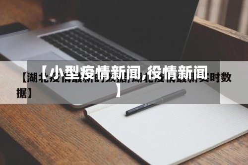 【小型疫情新闻,役情新闻】-第3张图片