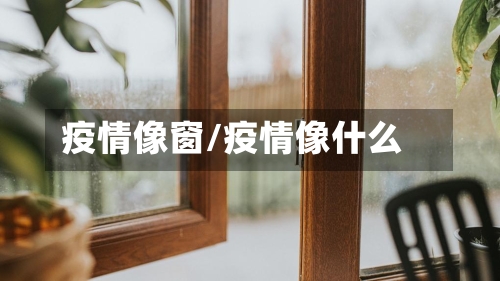 疫情像窗/疫情像什么-第1张图片