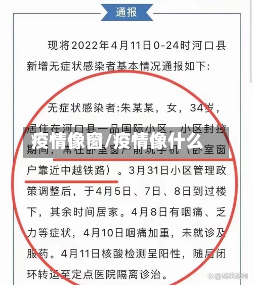 疫情像窗/疫情像什么-第2张图片