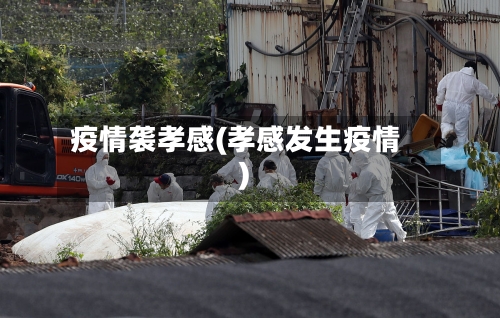 疫情袭孝感(孝感发生疫情)-第2张图片