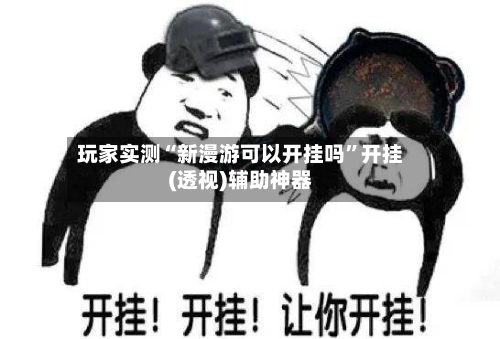 玩家实测“新漫游可以开挂吗”开挂(透视)辅助神器-第2张图片