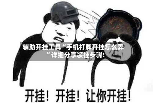 辅助开挂工具“手机打牌开挂怎么弄”详细分享装挂步骤!-第2张图片