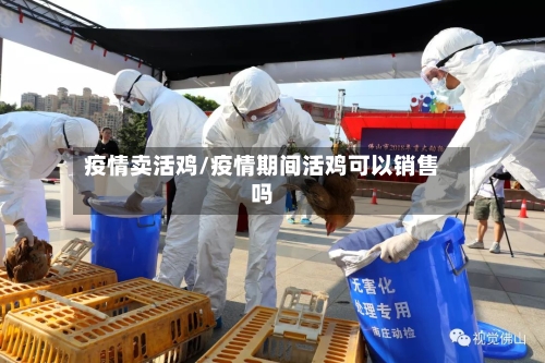 疫情卖活鸡/疫情期间活鸡可以销售吗-第3张图片