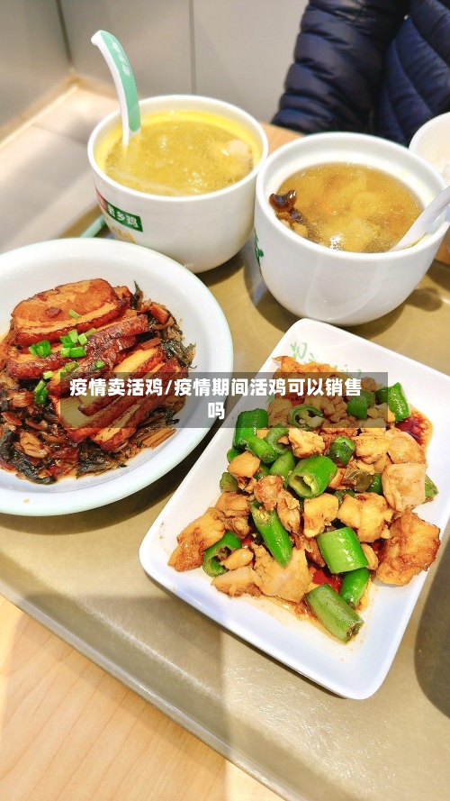 疫情卖活鸡/疫情期间活鸡可以销售吗-第2张图片