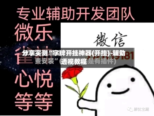 分享实测“字牌开挂神器(开挂)-辅助透视教程-第1张图片