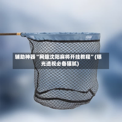 辅助神器“网趣沈阳麻将开挂教程”(曝光透视必备猫腻)-第2张图片