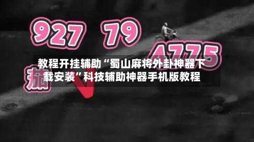 教程开挂辅助“蜀山麻将外卦神器下载安装”科技辅助神器手机版教程-第2张图片