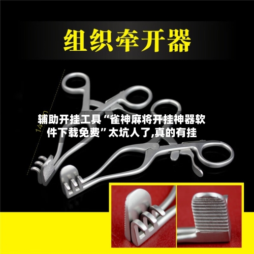 辅助开挂工具“雀神麻将开挂神器软件下载免费	”太坑人了,真的有挂-第3张图片