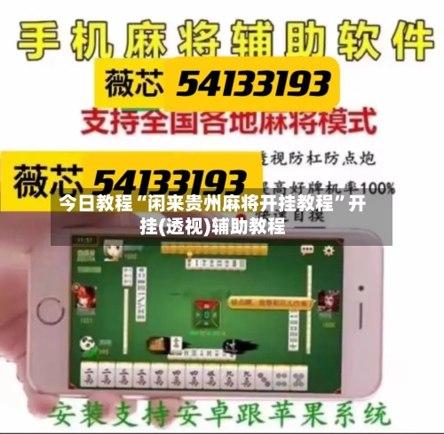 今日教程“闲来贵州麻将开挂教程”开挂(透视)辅助教程-第2张图片