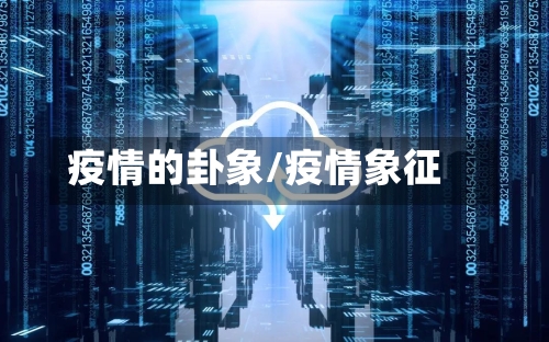 疫情的卦象/疫情象征-第2张图片