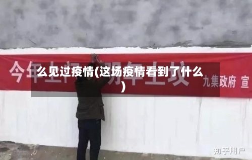么见过疫情(这场疫情看到了什么)-第1张图片