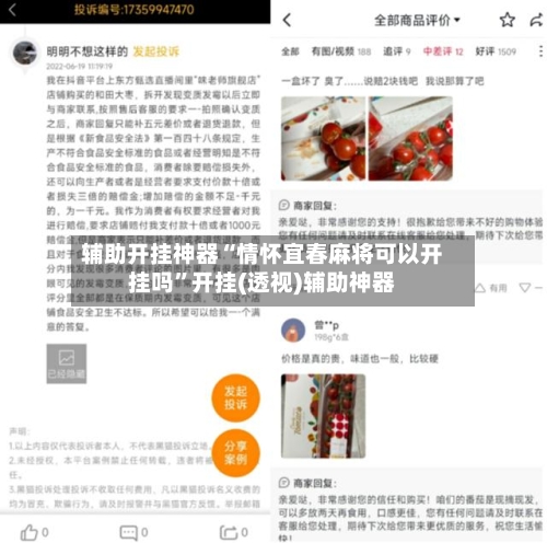 辅助开挂神器“情怀宜春麻将可以开挂吗	”开挂(透视)辅助神器-第2张图片
