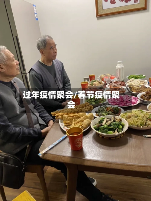 过年疫情聚会/春节疫情聚会-第2张图片