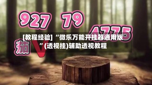 [教程经验] “微乐万能开挂器通用版”(透视挂)辅助透视教程-第3张图片