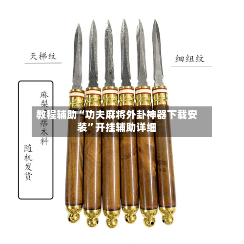 教程辅助“功夫麻将外卦神器下载安装”开挂辅助详细-第2张图片