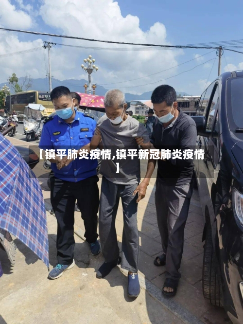 【镇平肺炎疫情,镇平新冠肺炎疫情】-第2张图片