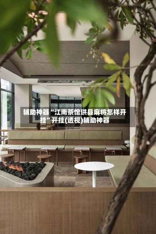 辅助神器“江南茶馆珙县麻将怎样开挂”开挂(透视)辅助神器-第2张图片
