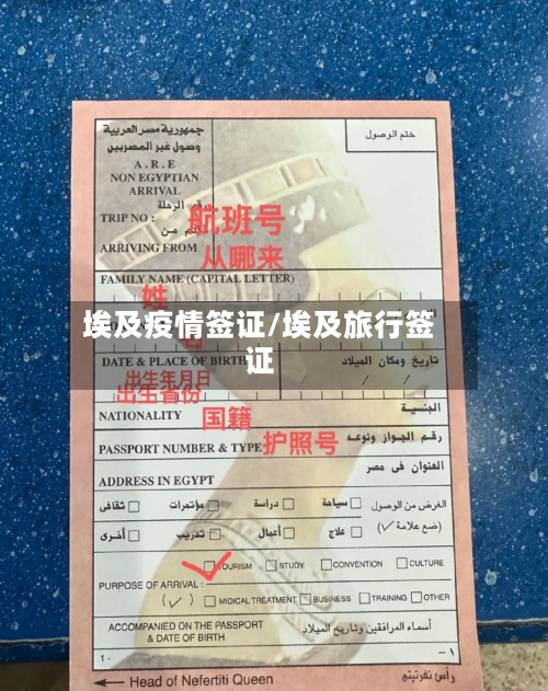 埃及疫情签证/埃及旅行签证-第2张图片