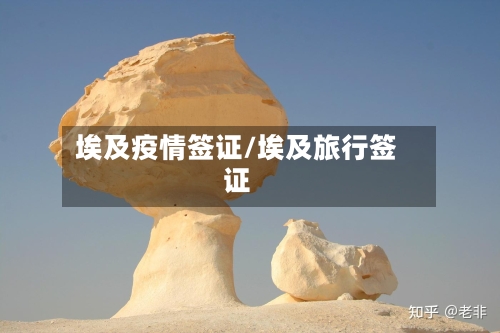 埃及疫情签证/埃及旅行签证-第1张图片