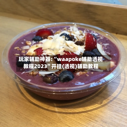 玩家辅助神器:“waapoke辅助透视教程2023	”开挂(透视)辅助教程-第2张图片