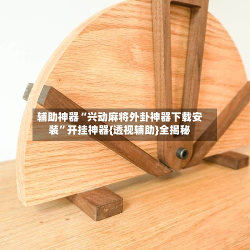 辅助神器“兴动麻将外卦神器下载安装”开挂神器{透视辅助}全揭秘-第1张图片