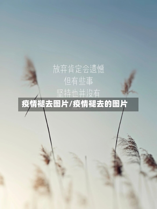 疫情褪去图片/疫情褪去的图片-第2张图片