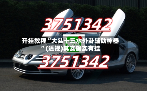 开挂教程“大头十三水外卦辅助神器	”(透视)其实确实有挂-第2张图片