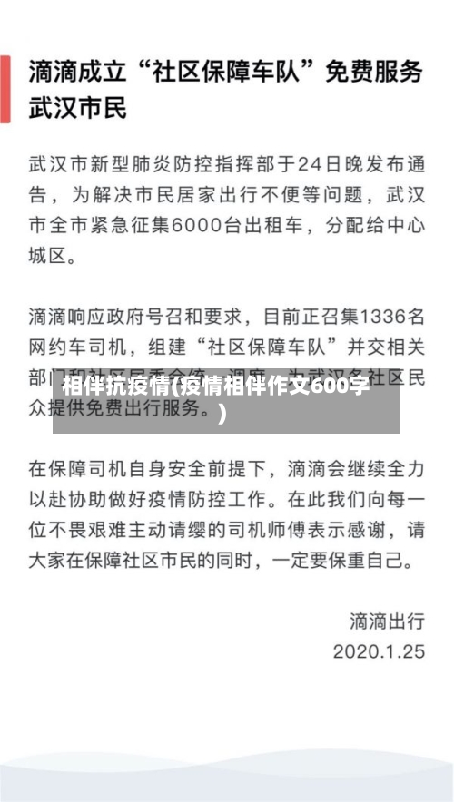 相伴抗疫情(疫情相伴作文600字)-第3张图片