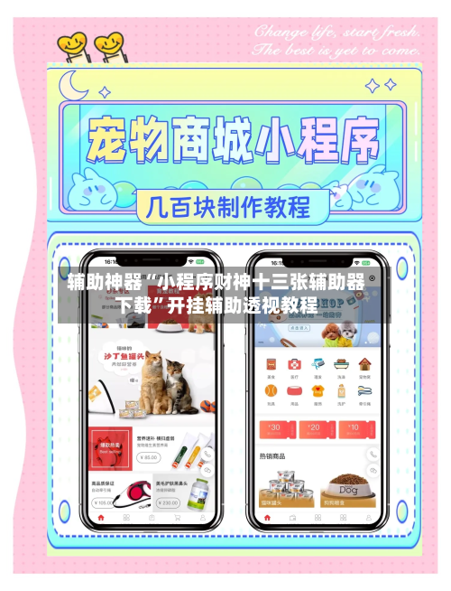辅助神器“小程序财神十三张辅助器下载”开挂辅助透视教程-第2张图片