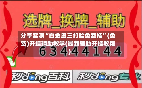 分享实测“白金岛三打哈免费挂”(免费)开挂辅助教学(最新辅助开挂教程)-第3张图片