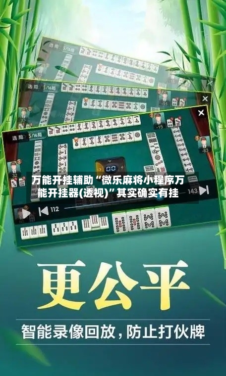 万能开挂辅助“微乐麻将小程序万能开挂器(透视)”其实确实有挂-第3张图片