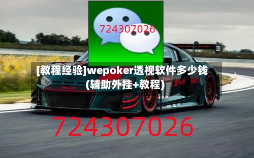 [教程经验]wepoker透视软件多少钱(辅助外挂+教程)-第2张图片