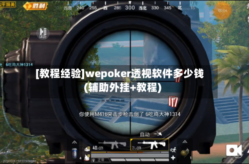 [教程经验]wepoker透视软件多少钱(辅助外挂+教程)-第3张图片