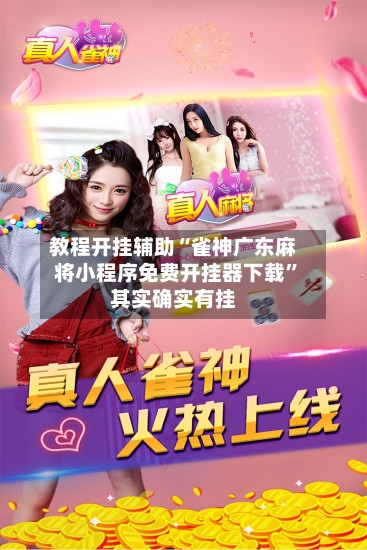 教程开挂辅助“雀神广东麻将小程序免费开挂器下载	”其实确实有挂-第3张图片