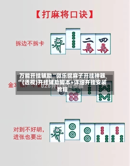 万能开挂辅助“微乐捉麻子开挂神器”(透视)开挂辅助脚本+详细开挂安装教程-第2张图片