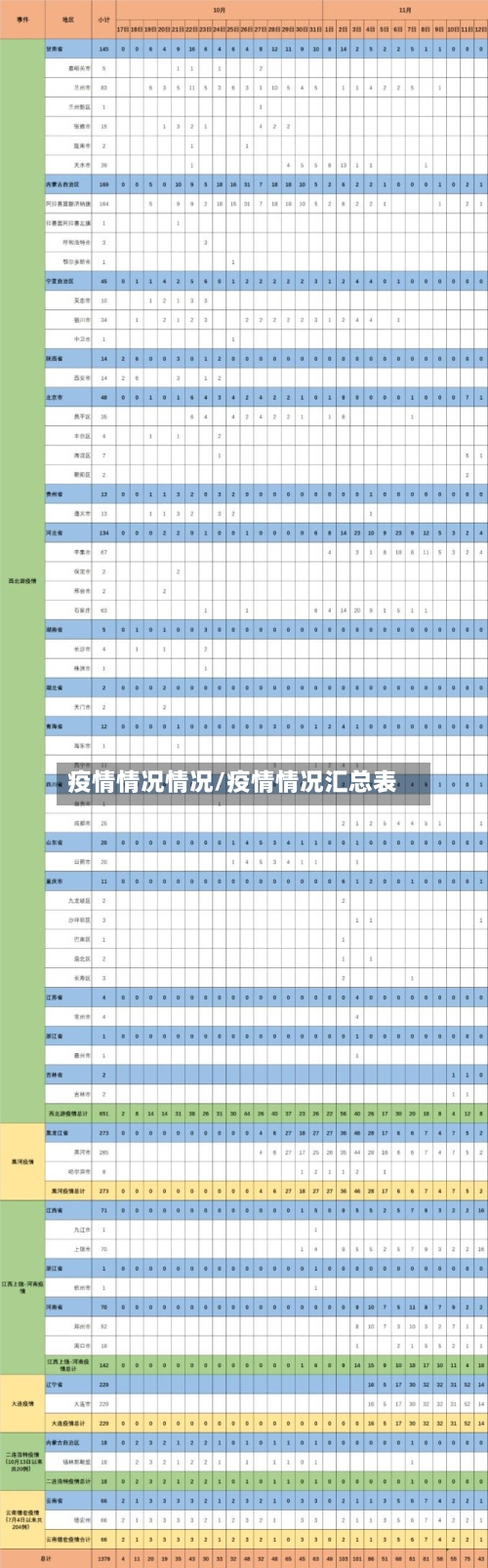 疫情情况情况/疫情情况汇总表-第3张图片
