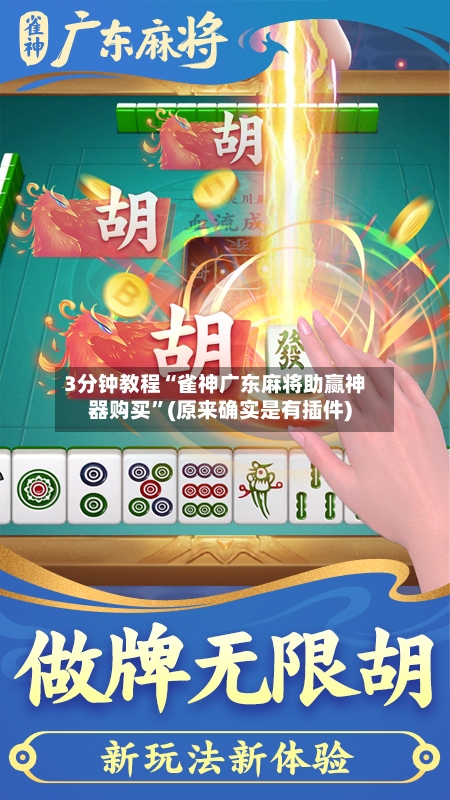 3分钟教程“雀神广东麻将助赢神器购买”(原来确实是有插件)-第2张图片