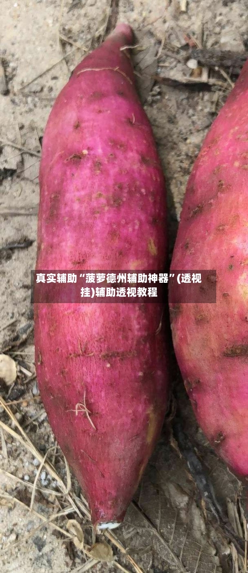 真实辅助“菠萝德州辅助神器”(透视挂)辅助透视教程-第2张图片