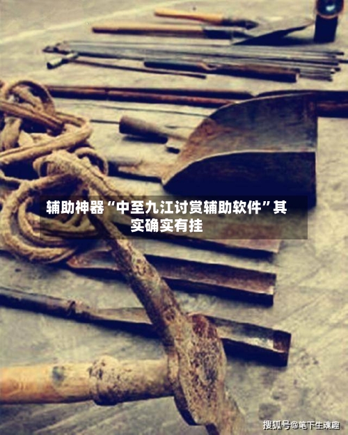 辅助神器“中至九江讨赏辅助软件”其实确实有挂-第1张图片