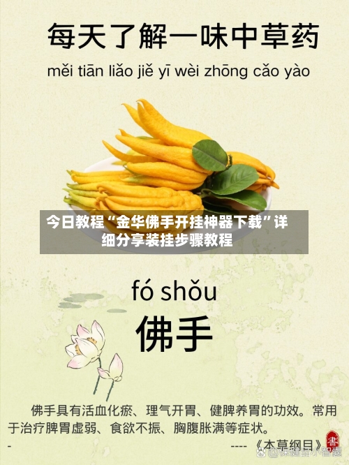 今日教程“金华佛手开挂神器下载	”详细分享装挂步骤教程-第2张图片