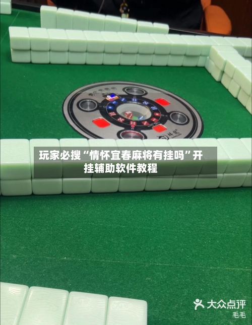 玩家必搜“情怀宜春麻将有挂吗”开挂辅助软件教程-第2张图片